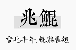 兆鲲名字的寓意及含义