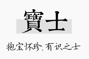 宝士名字的寓意及含义