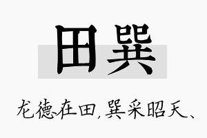 田巽名字的寓意及含义