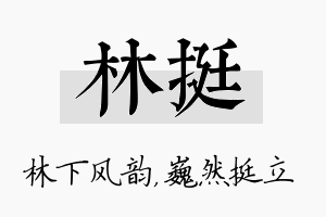 林挺名字的寓意及含义