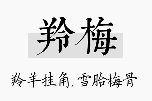 羚梅名字的寓意及含义