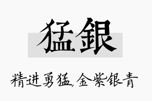 猛银名字的寓意及含义