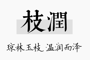 枝润名字的寓意及含义