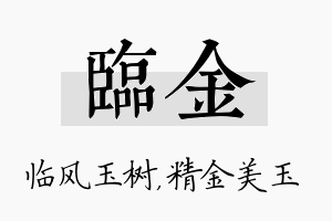 临金名字的寓意及含义