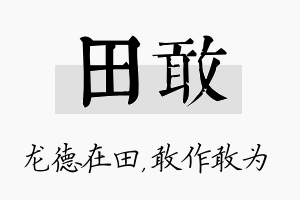 田敢名字的寓意及含义