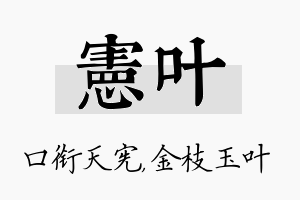 宪叶名字的寓意及含义