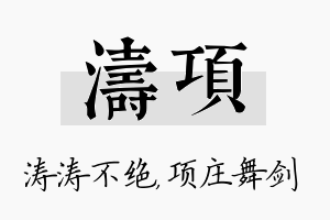 涛项名字的寓意及含义