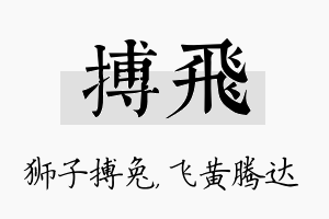 搏飞名字的寓意及含义