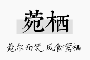 菀栖名字的寓意及含义