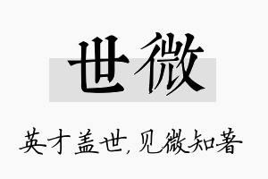 世微名字的寓意及含义