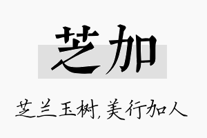 芝加名字的寓意及含义