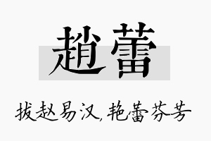 赵蕾名字的寓意及含义