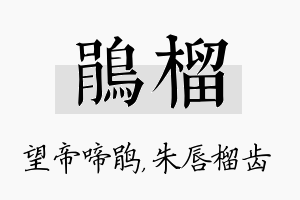 鹃榴名字的寓意及含义