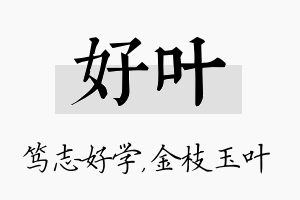 好叶名字的寓意及含义