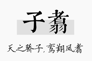 子翥名字的寓意及含义