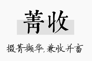 菁收名字的寓意及含义