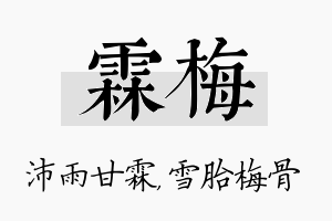 霖梅名字的寓意及含义