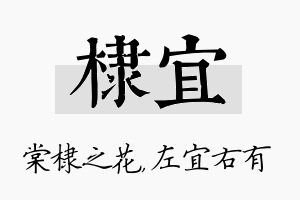 棣宜名字的寓意及含义