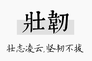 壮韧名字的寓意及含义