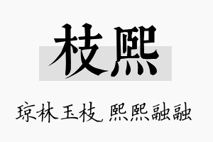 枝熙名字的寓意及含义