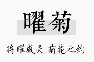 曜菊名字的寓意及含义