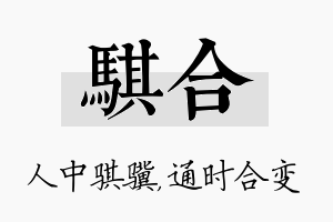 骐合名字的寓意及含义