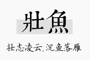 壮鱼名字的寓意及含义