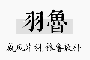 羽鲁名字的寓意及含义