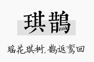 琪鹊名字的寓意及含义