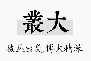 丛大名字的寓意及含义