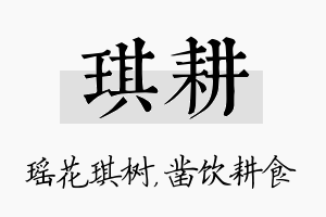 琪耕名字的寓意及含义