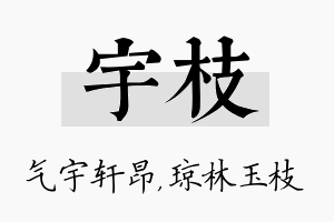 宇枝名字的寓意及含义