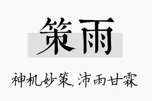 策雨名字的寓意及含义