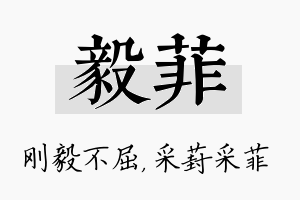 毅菲名字的寓意及含义