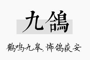 九鸽名字的寓意及含义