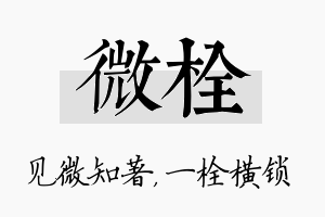 微栓名字的寓意及含义