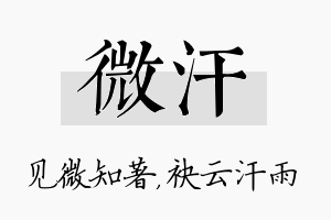 微汗名字的寓意及含义