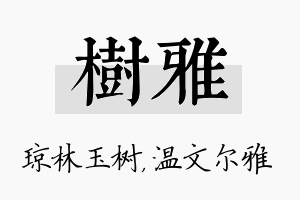 树雅名字的寓意及含义