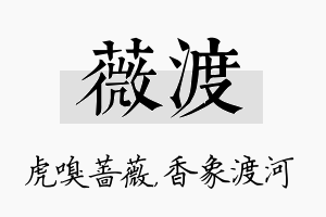 薇渡名字的寓意及含义