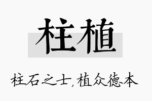 柱植名字的寓意及含义