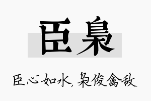 臣枭名字的寓意及含义