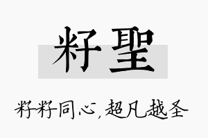 籽圣名字的寓意及含义