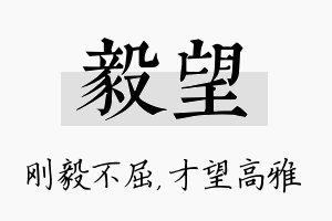 毅望名字的寓意及含义