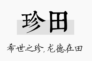 珍田名字的寓意及含义