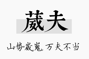 葳夫名字的寓意及含义