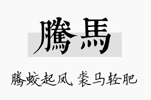 腾马名字的寓意及含义