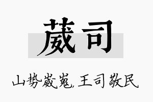 葳司名字的寓意及含义