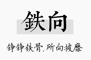 铁向名字的寓意及含义