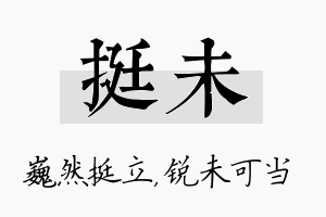 挺未名字的寓意及含义