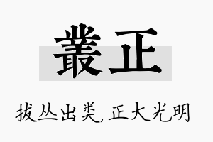 丛正名字的寓意及含义